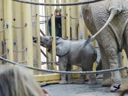 Tiergarten Schönbrunn am 03.10.2025